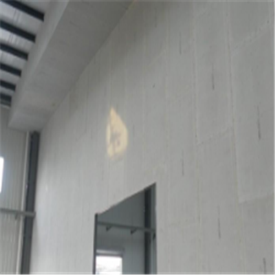 沾化宁波ALC板|EPS加气板隔墙与混凝土整浇联接的实验研讨